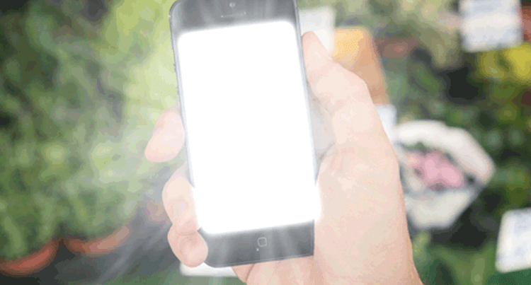 ITCC: Digital Marketing Agency Melbourne